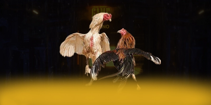 N88 - Thương hiệu chất lượng được quan tâm hàng đầu