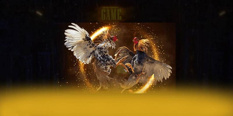 CONGA6789 - Sảnh game mang đến trải nghiệm giải trí đỉnh cao tại Việt Nam – Khám phá kho trò chơi của CONGA6789