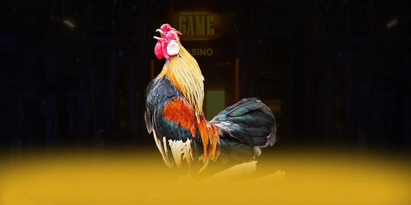 N88 - Kết luận & gợi ý trải nghiệm từ cộng đồng game thủ.