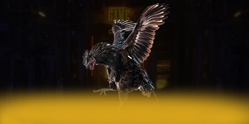 UU88 - Tổng kết hành trình phát triển một cách tổng quan.