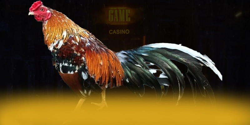 LC88 - Nhà cái được đánh giá cao về chất lượng được yêu thích nhất – Tìm hiểu LC88 LC88 - Nhà cái được đánh giá cao về chất lượng được yêu thích nhất – Tìm hiểu LC88