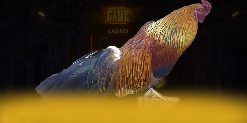 
Cập nhật thông tin về CONGA6789 - Cổng game hàng đầu Việt Nam tại Việt Nam
