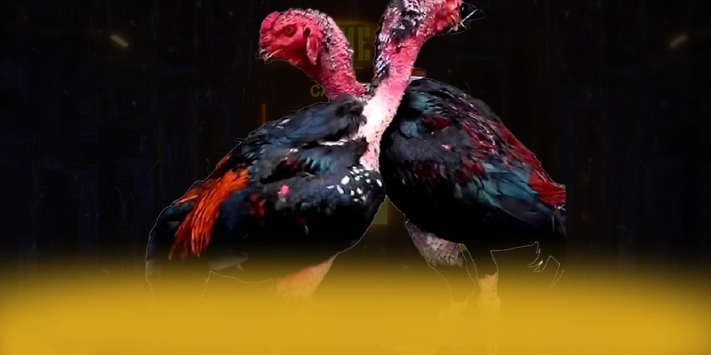 GA6789 - Sảnh game được game thủ yêu thích được đánh giá cao – Khám phá top GA6789