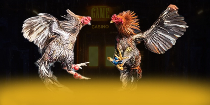 VWIN - Cổng trò chơi hiệu năng vượt trội được yêu thích nhất