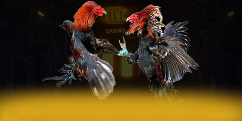 UU88 - Cổng giải trí với chính sách tặng thưởng đẳng cấp được cộng đồng game thủ yêu thích – Cập nhật event và quà tặng tại UU88