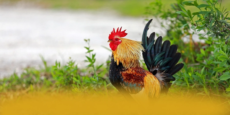 SUNWIN - Sảnh game ưu đãi khủng tại Việt Nam – Trải nghiệm ưu đãi hấp dẫn cùng SUNWIN