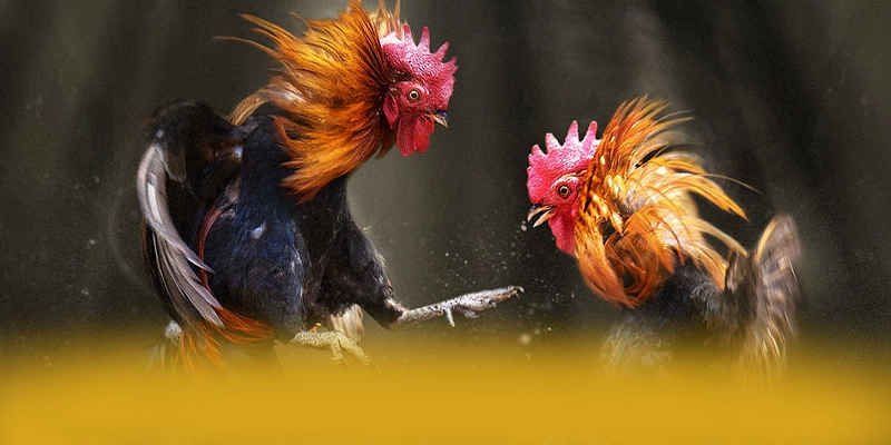 
Khám phá GO8 - Cổng game phổ biến nhất cho người chơi
