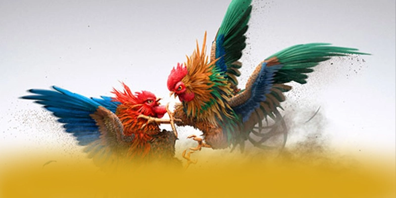 
Khám phá hành trình của tỷ lệ kèo bóng đá - Cổng game đáng chơi nhất được giới cược thủ tin tưởng
