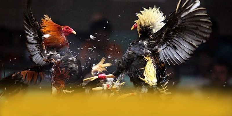 tài xỉu online - Sảnh game hiện đại trong giới game thủ