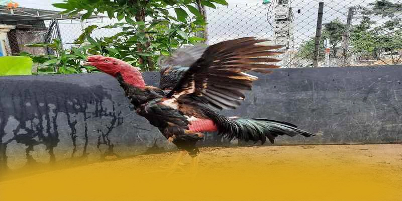 
Trải nghiệm GEM88 - Cổng game bài được nhiều người chơi lựa chọn số 1 Việt Nam
