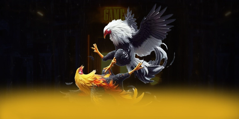 GEM88 – Cổng trò chơi được tin dùng, được cộng đồng game thủ tin tưởng.