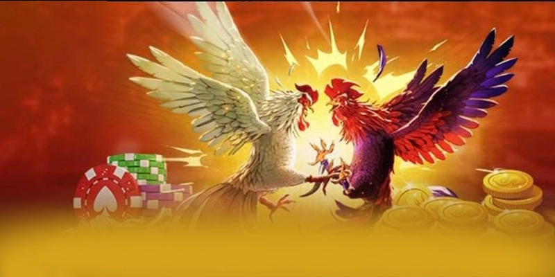 W88 - Cổng game bài phổ biến hàng đầu đang làm mưa làm gió